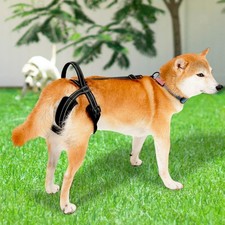 Harnais élévateur pour chien