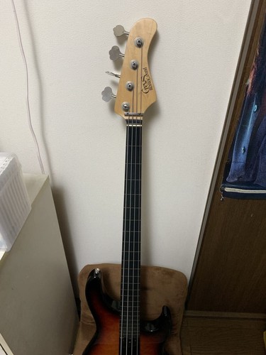 Bassiste professionnel