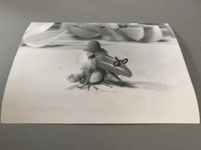 PÉPIN LA BULLE - Photo de