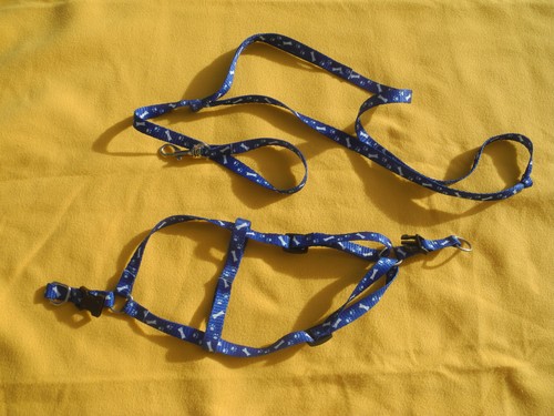Laisse harnais petit chien - harnais,