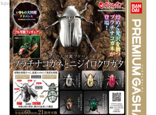 Ikimono Encyclopedia Chrysina Optima Rainbow Beetle Set of 5 Capsule toy Bandai