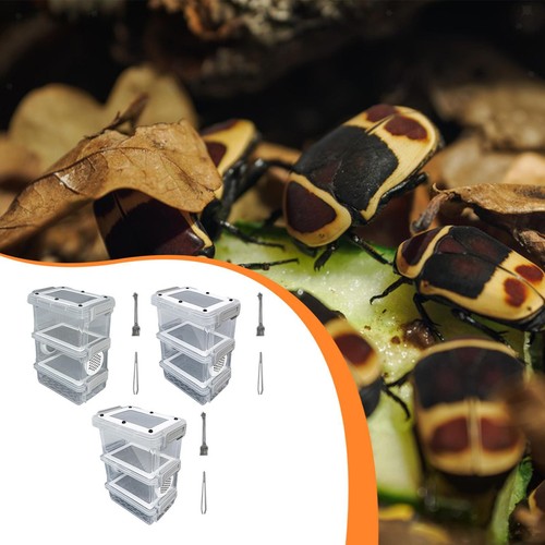 Boîte alimentation pour - d'alimentation,