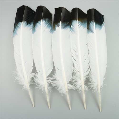 Plumes faisan naturelles - faisan,