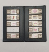 9 LAMES MICROSCOPE MEDECINE