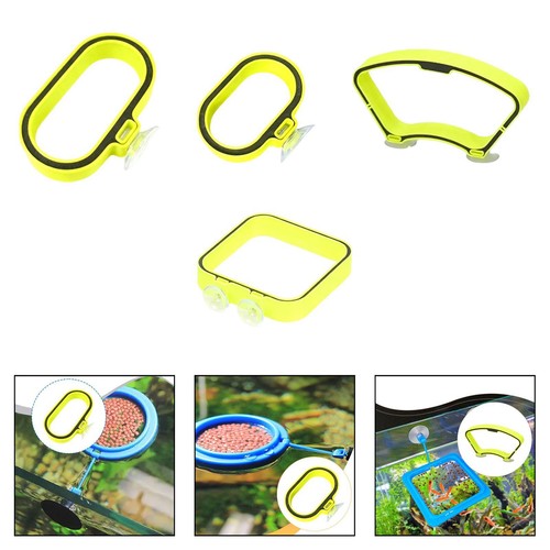 Accessoires pour nourrir les - pour,