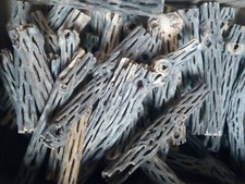 Squelette Cactus Cholla pour Gambario Ancistrus Corydoras Gambas Neocaridinas