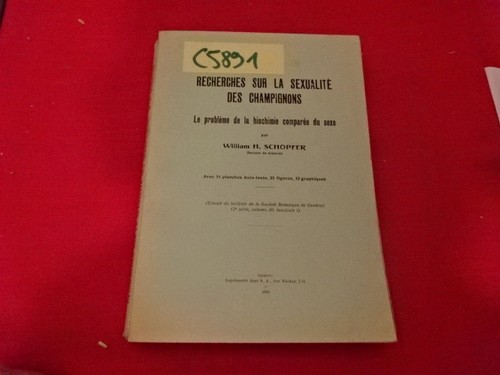 Schopfer - schopfer, h.)