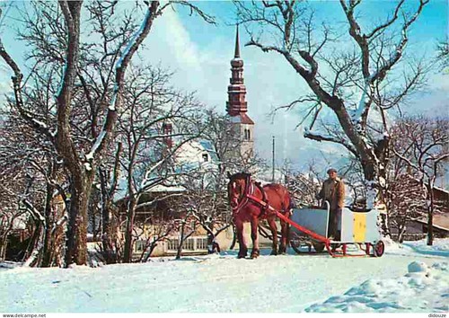 Carte postale animaux - postale,