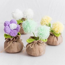 Plante naturelle en pot de