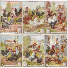 S 0531 / LIEBIG / RACES DE