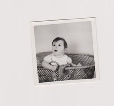 Snapshot argentique jeune garçon dans son parc en osier avec jouet bambi 1954