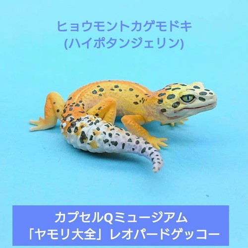 Rare kaiyodo capsule q - q, gecko