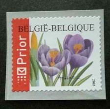 S53067 BELGIQUE MNH** 2003 Fleurs S-A 1V