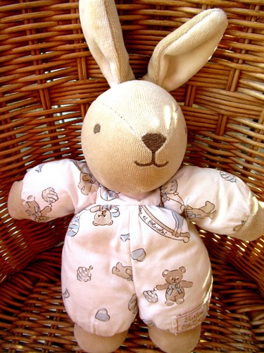 Tartine chocolat lapin - chocolat,