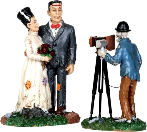 Wedding photo frankenstein - wedding,