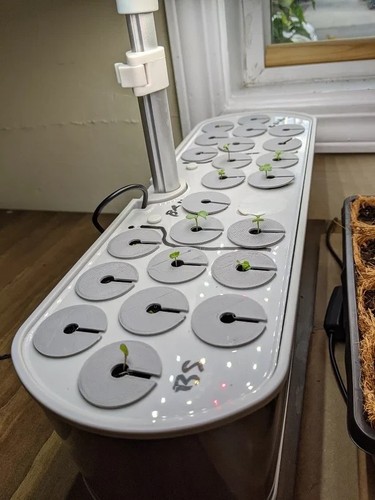 Aerogarden seed starter tray - seed,