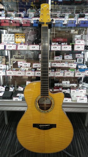 Guitare acoustique électrique