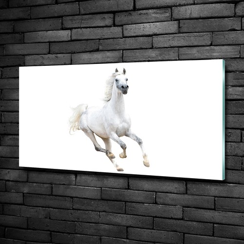 Tulup tableau sur verre - tulup,
