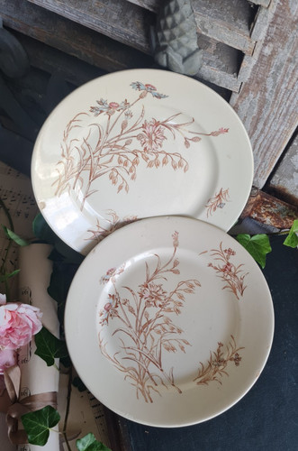 Anciennes assiettes plates - 2,