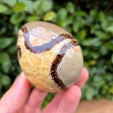 Septaria Nodule Poli Oeuf -