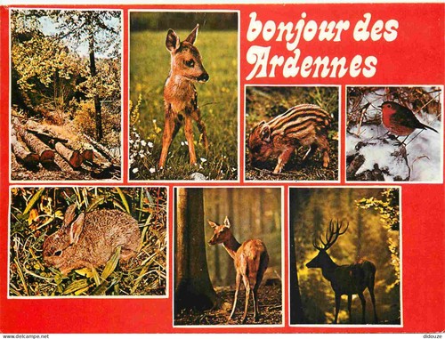 Carte postale ardennes - postale, 08