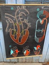 Affiche Ancienne Scolaire  &