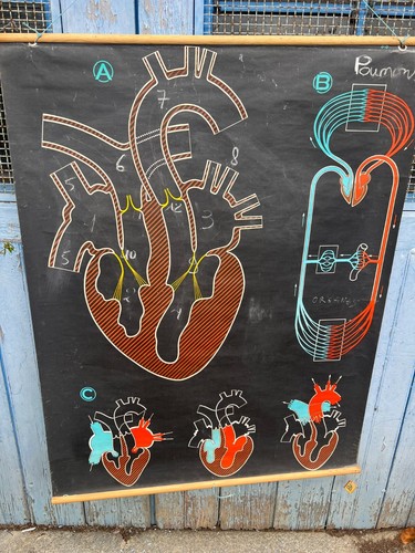 Affiche ancienne scolaire - , &