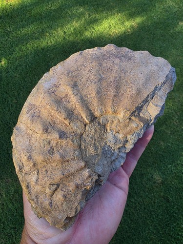 Freshly excavated red zone - freshly,