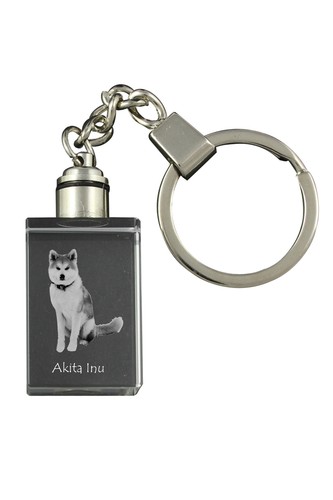 Akita inu porte - inu,