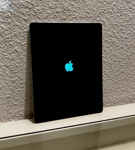 Ipad gris 16g - 4,
