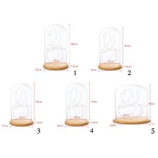 Cloche  En Verre Socle Cloche