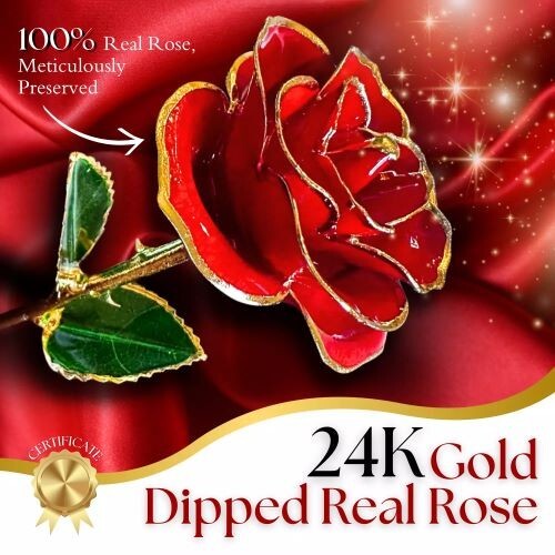 24k gold dipped real - gold-dipped, eternal