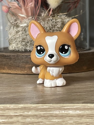 Petshop chien corgi - chien,