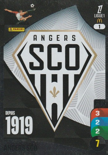 Carte foot panini - 1,