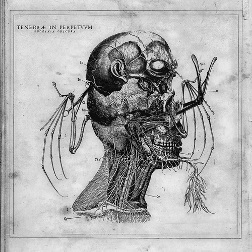 Tenebrae perpetuum anorexia - tenebrae, in