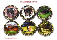 SERIE DE 6 CAPSULES DE CHAMPAGNE - ARMAND BRUNO N° 14