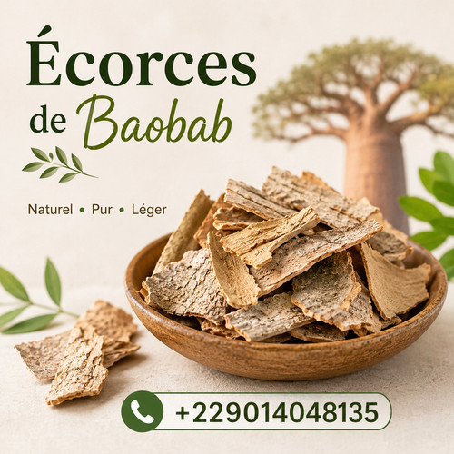 Ecorce baobab - ecorce, de