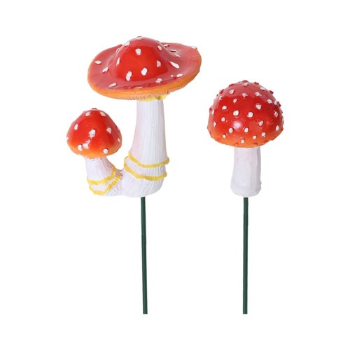 Champignons brillants - , en
