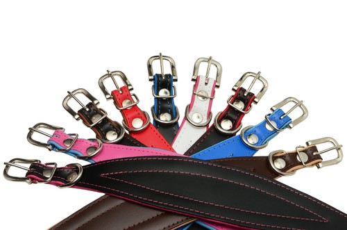 Collier chien greyhound - de,