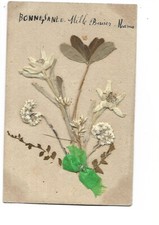 CARTE FANTAISIE  HERBIER