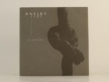 DAVID'S LYRE IN ARMS (H1) 5
