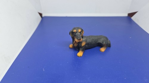 Collection atlas chien - , (18)