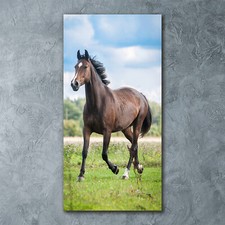 Tulup Tableau Sur Verre Trempé Image 60x120 - Cheval sur le terrain