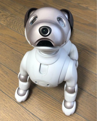 Sony aibo ers - aibo, chien