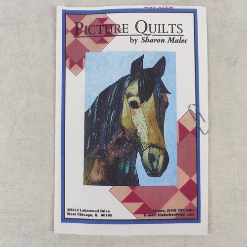 Horse pony equestrian - pony, mare