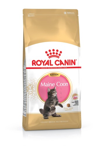 Nourriture sèche pour chaton - nourriture,