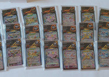 AM11 Choose Eevee and Terastal