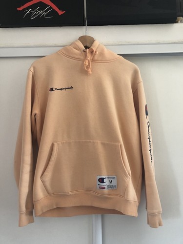 Supreme champion fw16 hoodie - supreme,