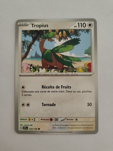 Carte pokémon tropius - carte,