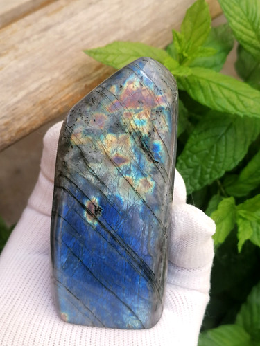 Labradorite forme libre - forme,
